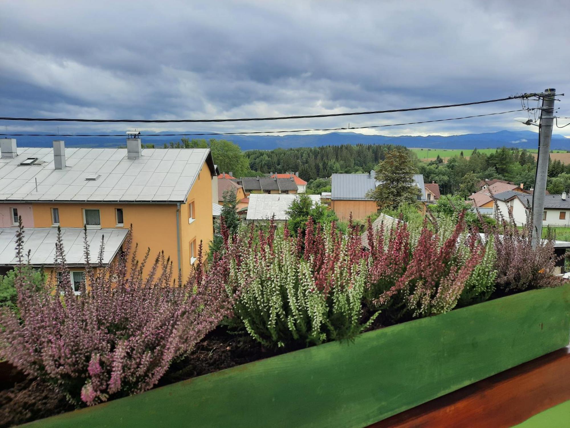 Vila Kamila Tatranská Štrba Habitación foto